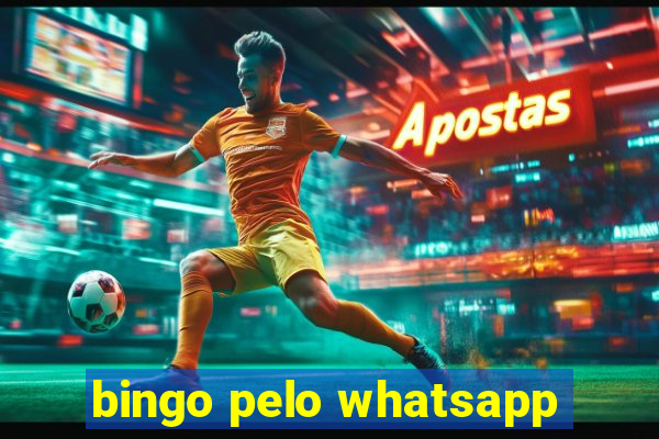 bingo pelo whatsapp